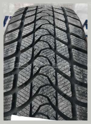 Delinte Winter WD1 255/45 R18 103H