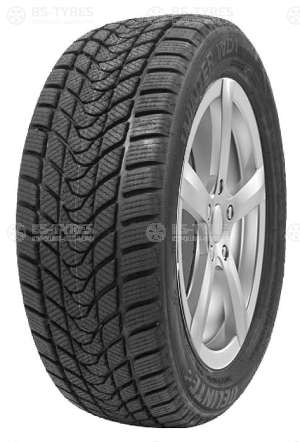 Delinte Winter WD1 255/45 R18 103H