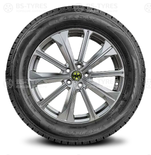 Roadx Frost WH12 245/70 R16 107T